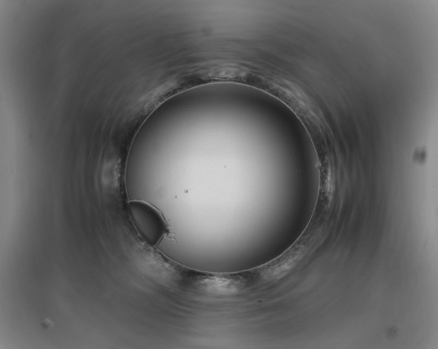 X0000097500326200802221450