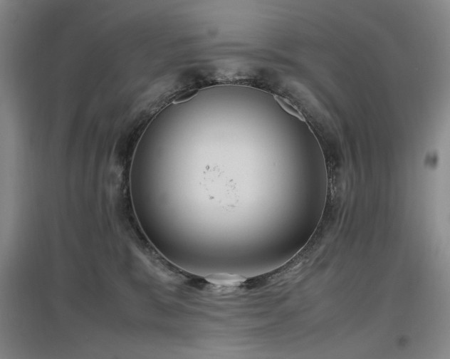 X0000097500327200802221450