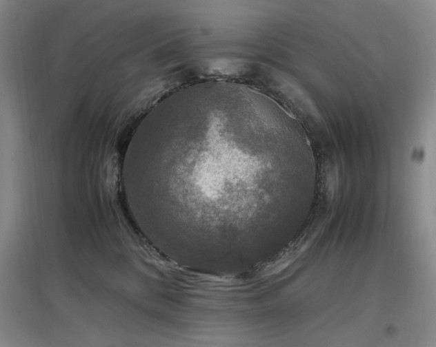 X0000097500328200802221450