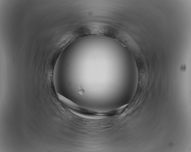 X0000097500329200802221450