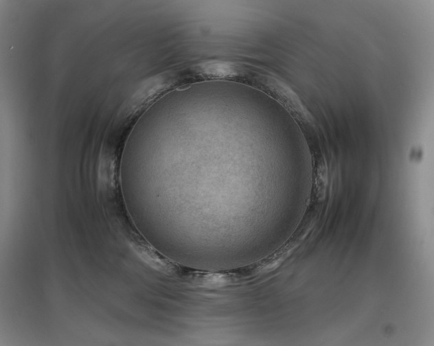 X0000097500330200802221450