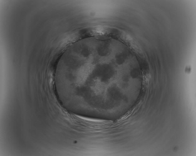 X0000097500331200802221450