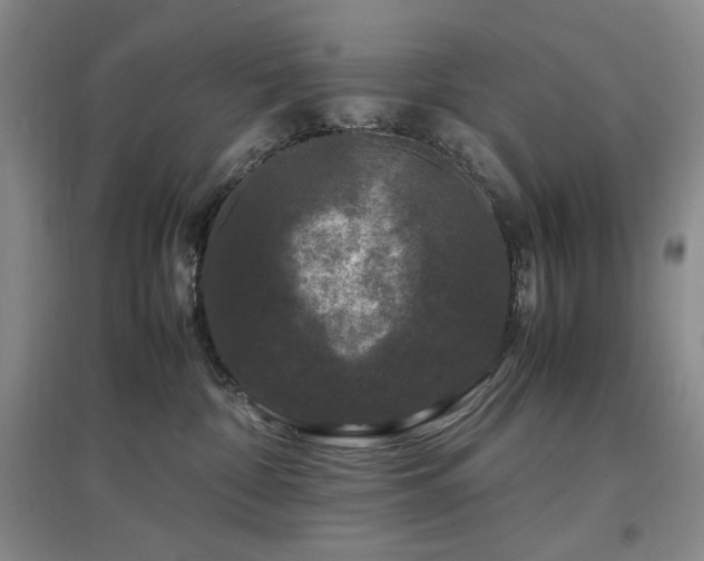 X0000097500332200802221450