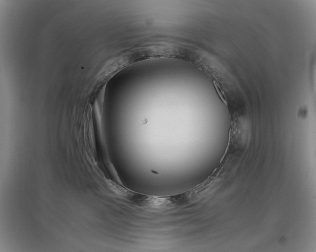 X0000097500333200802221450