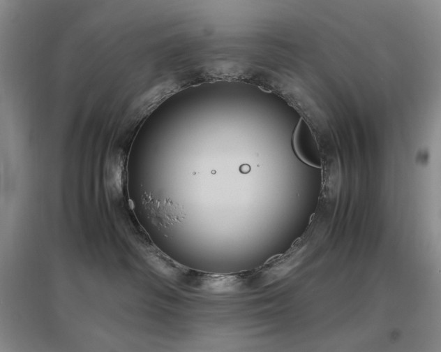 X0000097500334200802221450