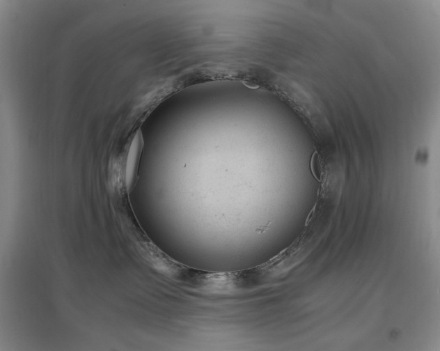 X0000097500335200802221450