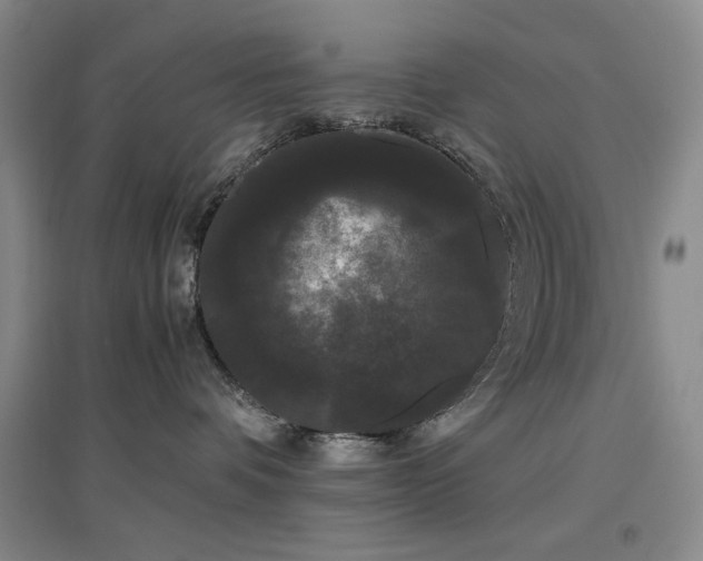 X0000097500336200802221450