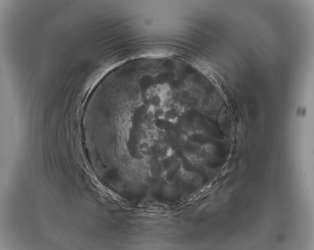 X0000097500337200802221449