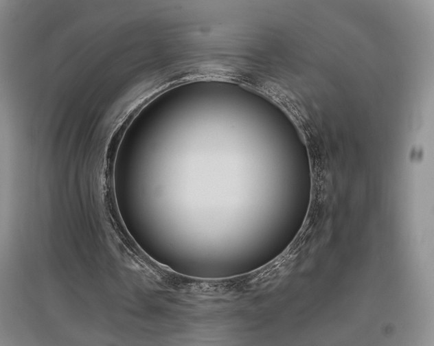X0000097500338200802221449