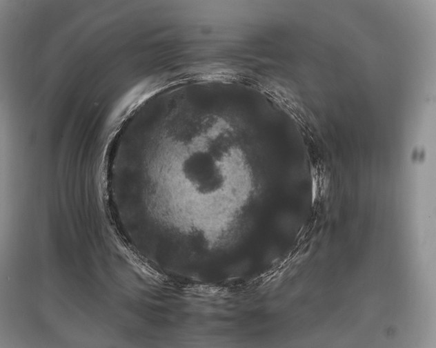 X0000097500339200802221449