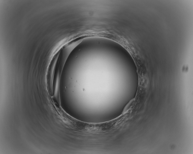 X0000097500340200802221449