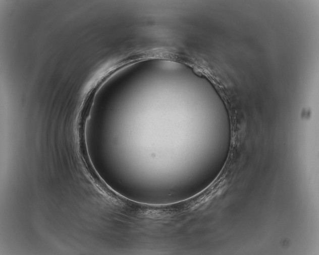 X0000097500341200802221449