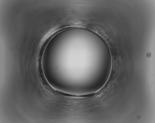 X0000097500344200802221449