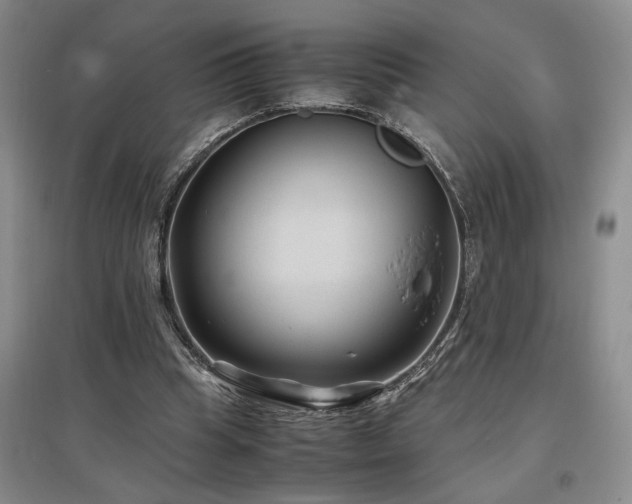 X0000097500345200802221449