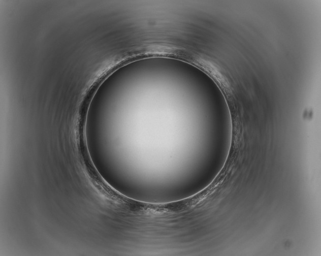 X0000097500346200802221449
