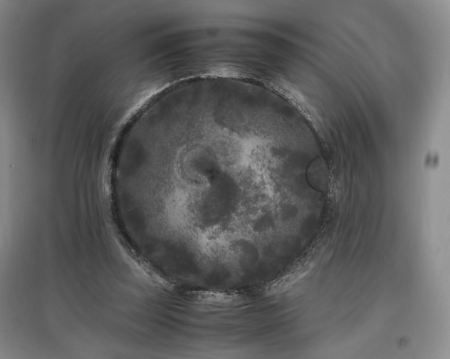 X0000097500347200802221449