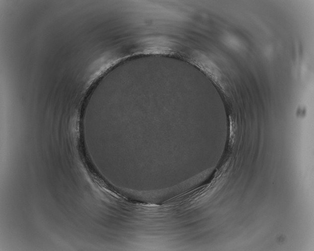 X0000097500348200802221449