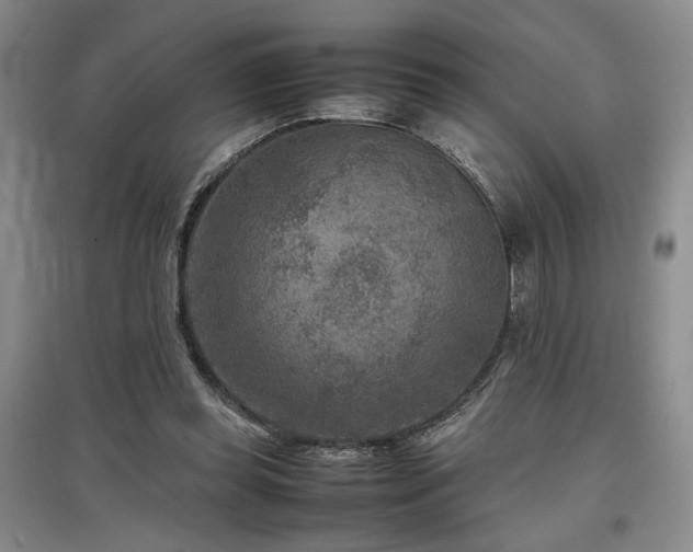 X0000097500349200802221449