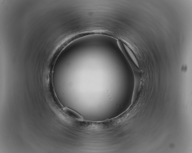 X0000097500350200802221449