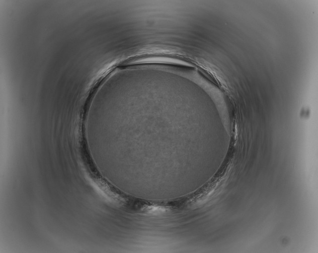 X0000097500352200802221449