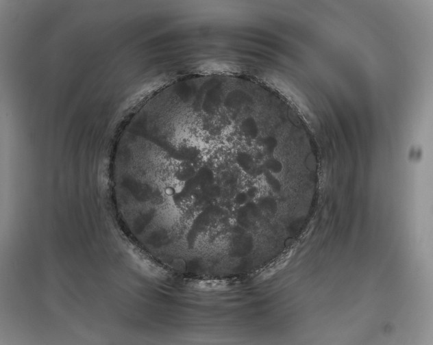 X0000097500353200802221449