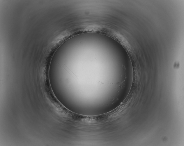 X0000097500354200802221449