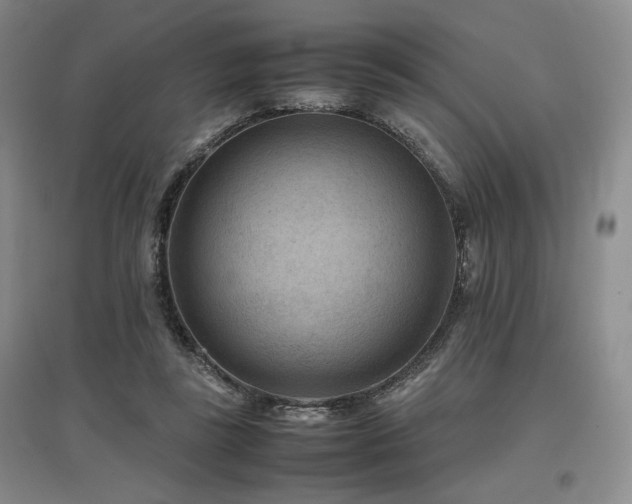 X0000097500355200802221449