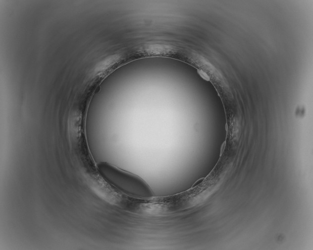 X0000097500356200802221449