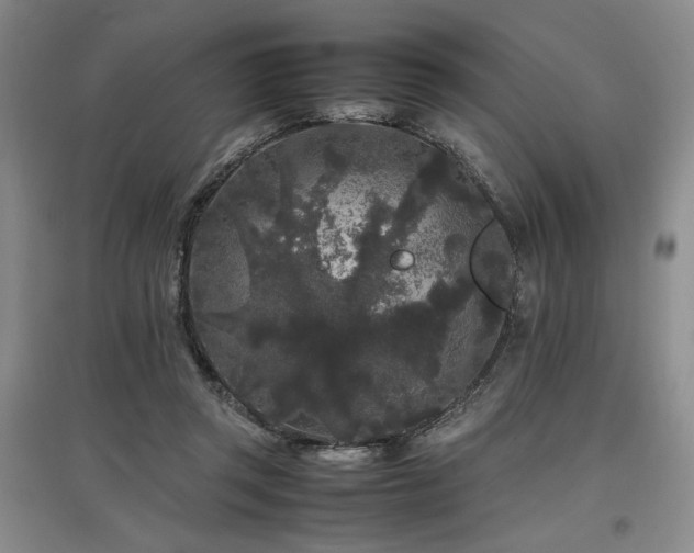 X0000097500357200802221449