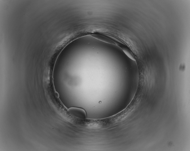 X0000097500358200802221449