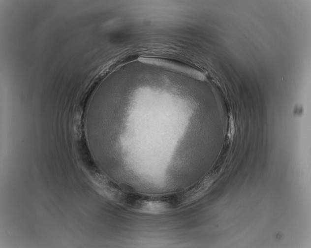 X0000097500360200802221449