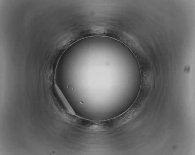X0000097500364200802221449