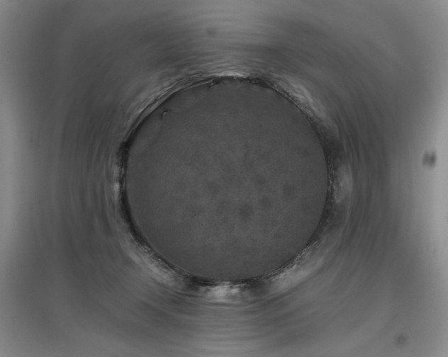 X0000097500366200802221449