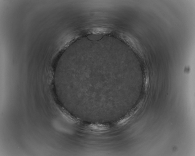 X0000097500367200802221449