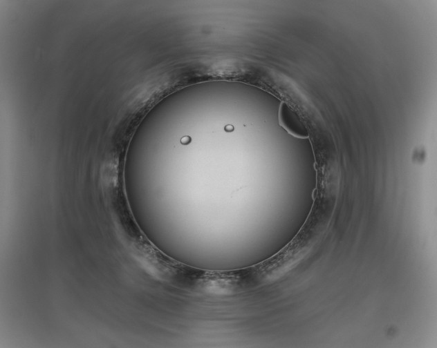 X0000097500368200802221449