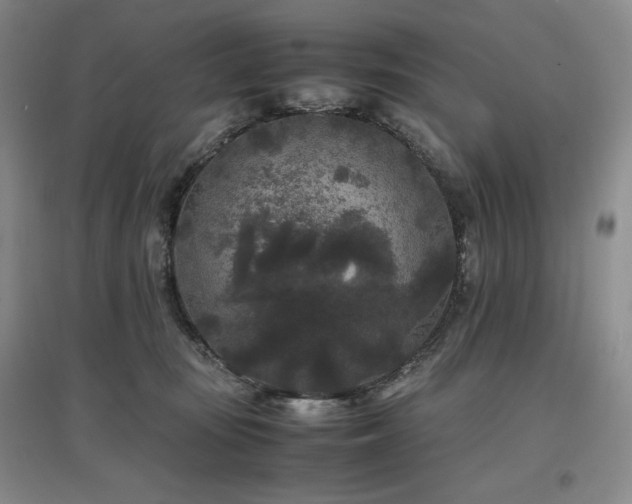 X0000097500371200802221450