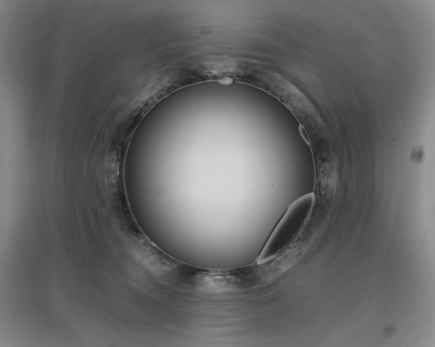 X0000097500372200802221450