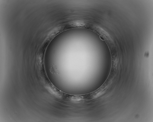 X0000097500373200802221450
