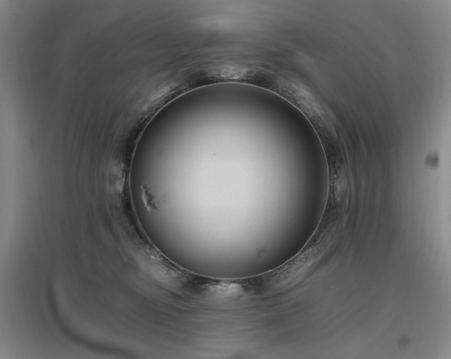 X0000097500374200802221450