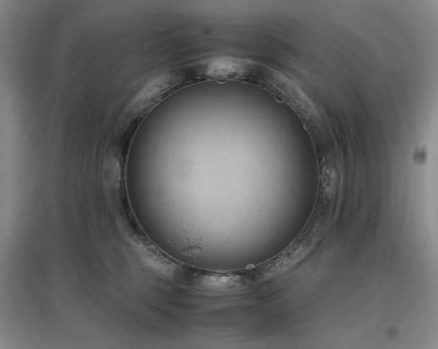 X0000097500375200802221450