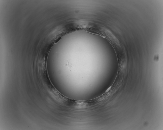 X0000097500376200802221450