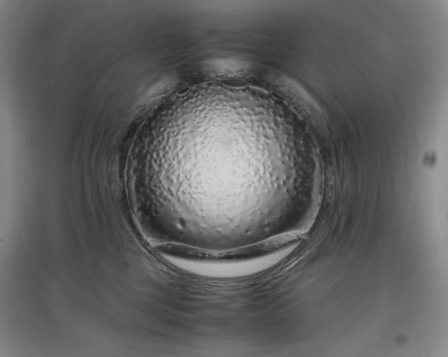 X0000097500377200802221450