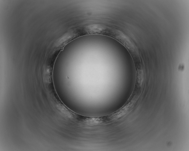 X0000097500378200802221450