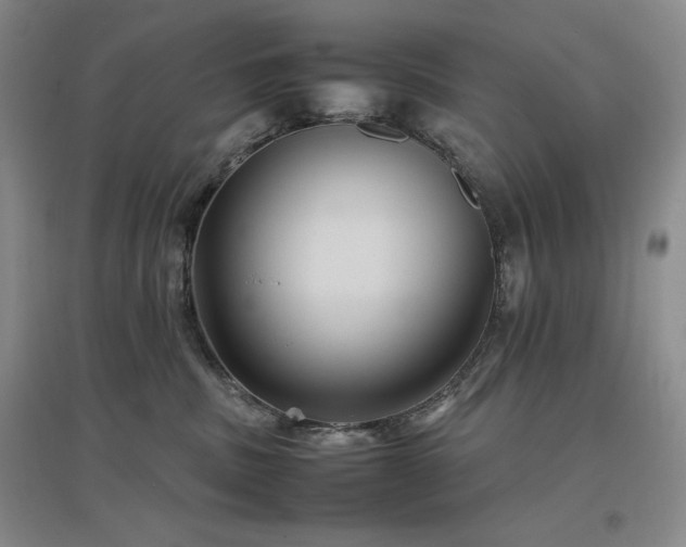 X0000097500379200802221450
