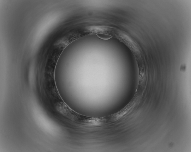 X0000097500381200802221450