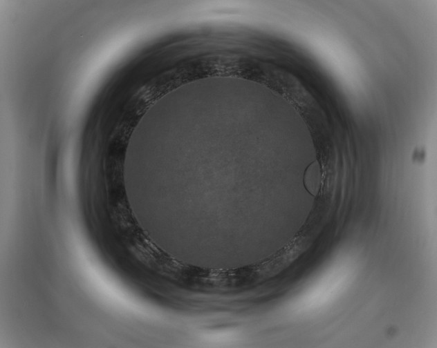 X0000097500383200802221450