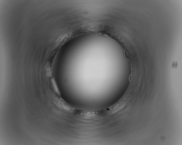 X0000097500384200802221450