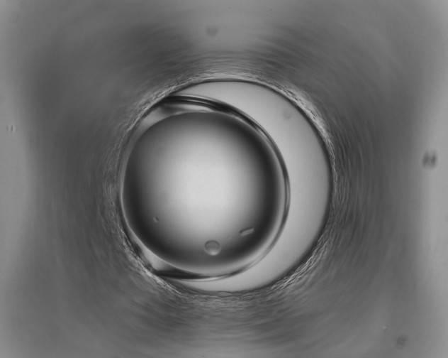 X0000097500385200802221449