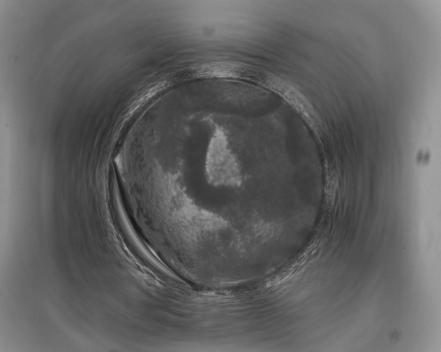 X0000097500386200802221449