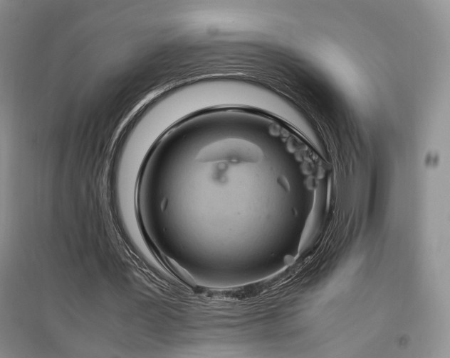 X0000097500387200802221449